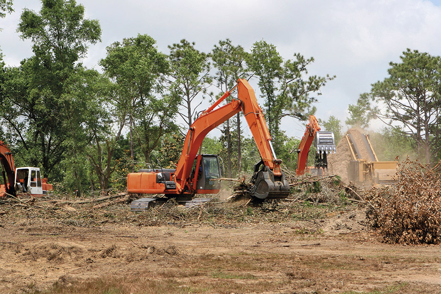 lot-clearing-workers-black-river-ny