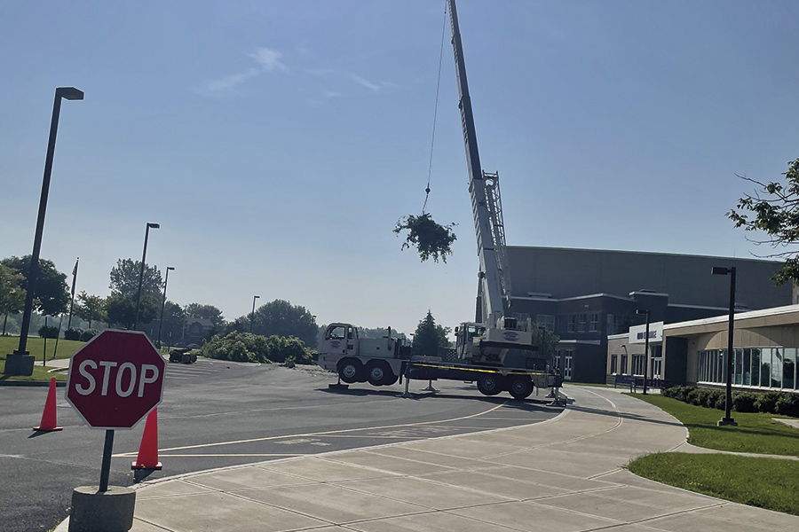 tree-removal-service-on-the-street-black-river-ny