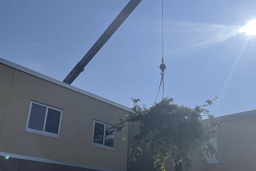 tree-rimming-workers-doing-some-tree-removal-black-river-ny